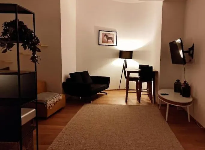 Appartement Designer Between Stephansdome And Belvedere Vienne
